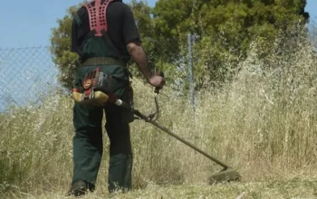 καθαρισμός-οικοπέδων