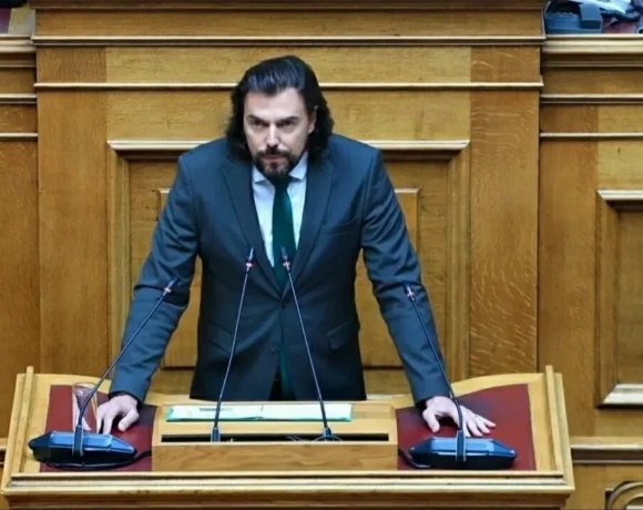 ΠΕΤΡΟΣ ΠΑΠΠΑΣ 7