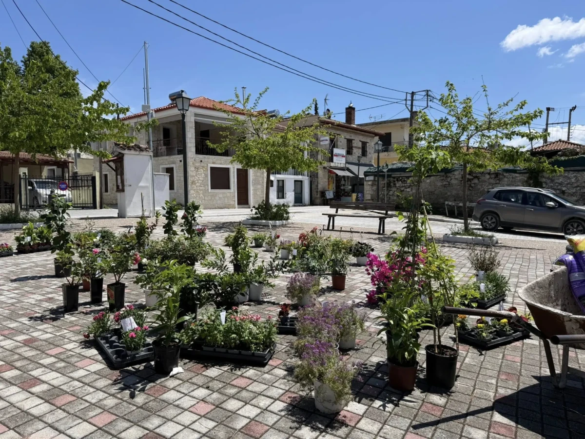 ανθοεκθ1